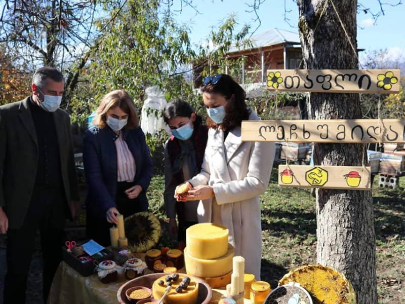 რეგიონული განვითარების და ინფრასტრუქტურის მინისტრის მოადგილე მზია გიორგობიანი, და  UNDP...